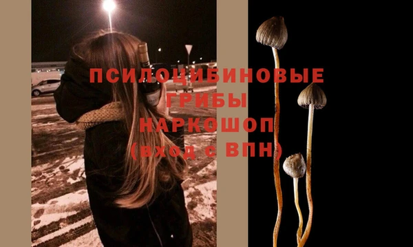 гидропоника Белоозёрский