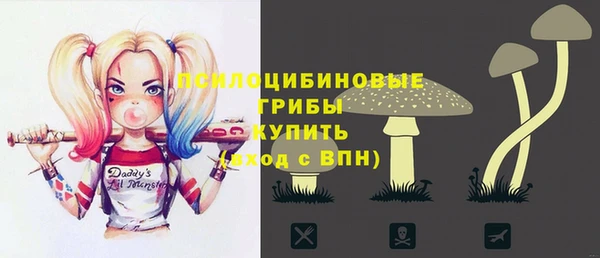 гидропоника Белоозёрский