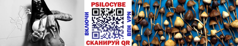 купить наркоту  Мариинский Посад  кракен как войти  Псилоцибиновые грибы Cubensis 