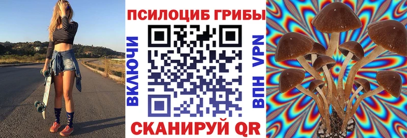 Псилоцибиновые грибы Psilocybe Мариинский Посад